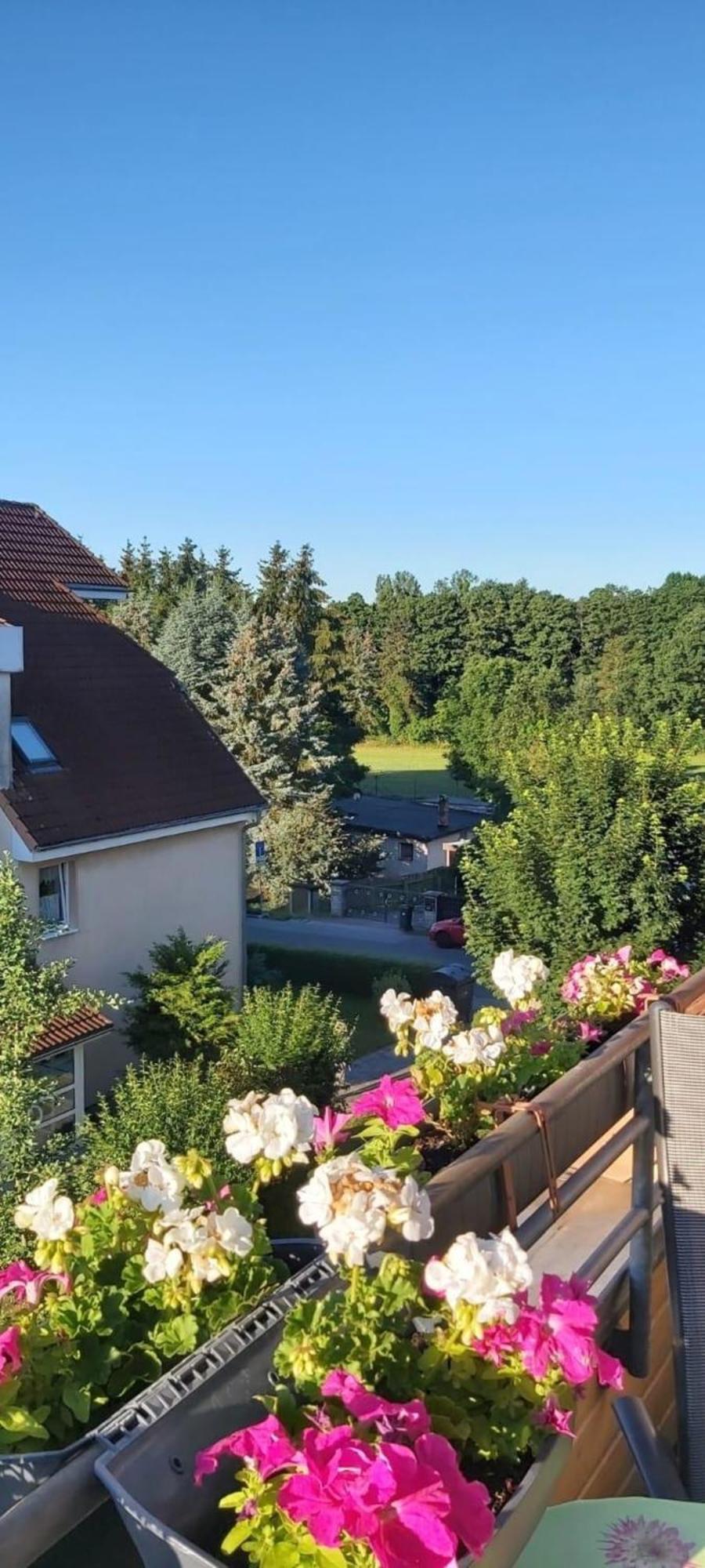 Ferienwohnung In Radeberg Bei Dresden Zewnętrze zdjęcie